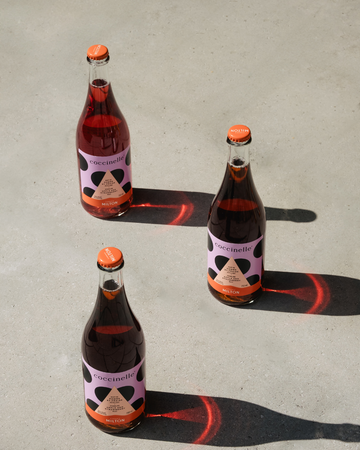 Coccinelle Pomme Fraise